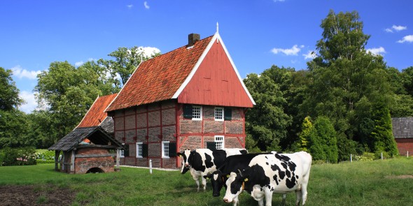 overhetscholtenpad.JPG