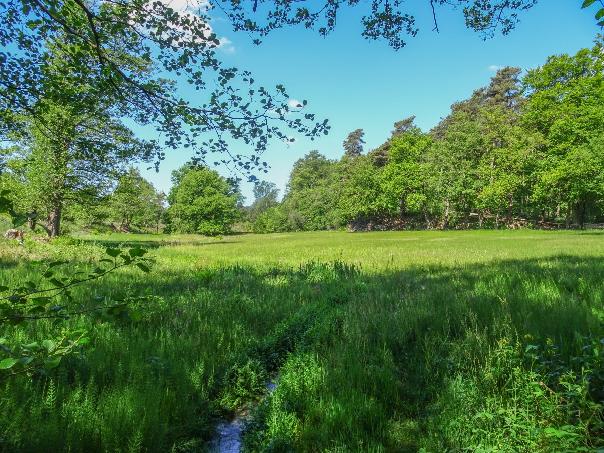 Boswachterspad Springendal in Twente - Wandelnet