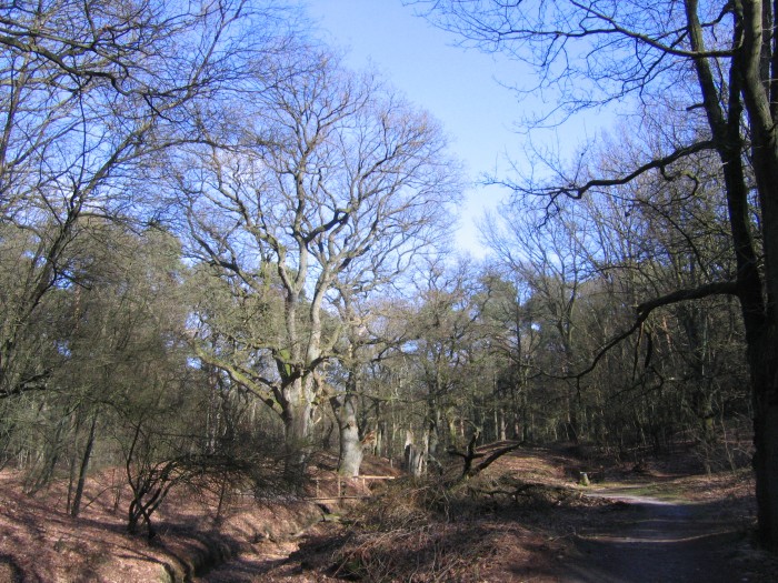 Veluwe zwerfpad