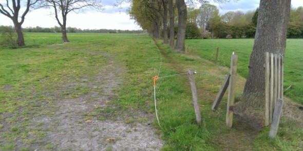 Bindert_Kloosterman_boerenlandpad_Waskemeer.jpg