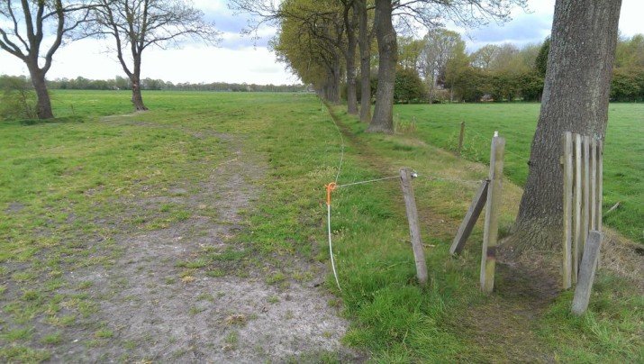 bindert kloosterman boerenlandpad waskemeer 1.jpg
