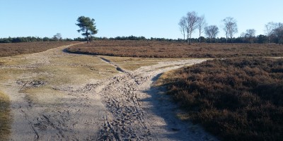 Westerborkpad_etappe_17.jpg