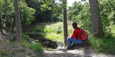 De Vuursche