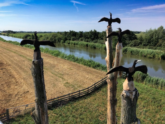 Uit hout gesneden aalscholvers nabij Driebruggen aan het Romeinse Limespad © Ernst Koningsveld