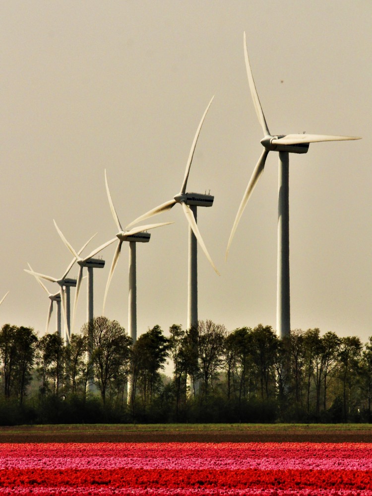 Windmolens flevoland