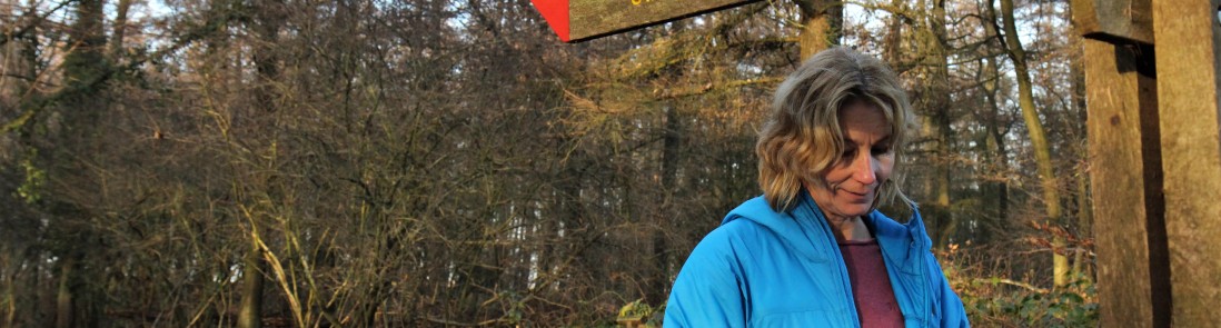 Wandelaar bij een wegwijzer met geel-rode markering © Luuk Gijselhart.JPG