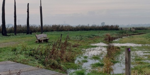 Binnenveldse hooilanden vlonder.jpg