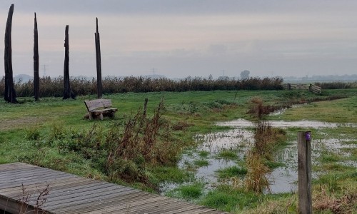 Binnenveldse hooilanden vlonder.jpg