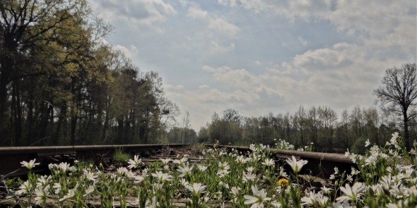 Borkense Baan.JPG