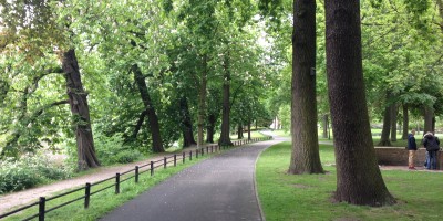 Breda - Weeting Stadspark Valkenburg MdV.jpeg