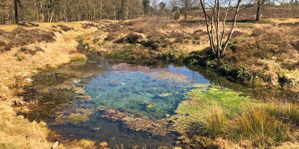 Sprengenbeek_Heelsum_1.jpg
