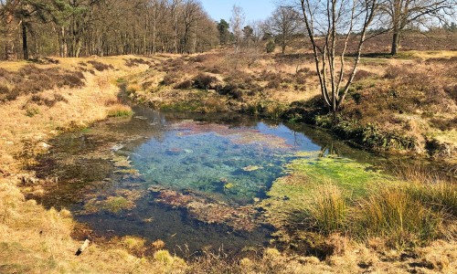 Sprengenbeek_Heelsum_1.jpg
