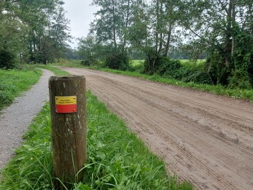 Vereniging NFW zandpaden Eastermar (9)