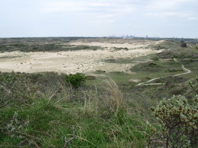 Nederlands Kustpad 2 De Zilk-Haarlem Kennemerduinen