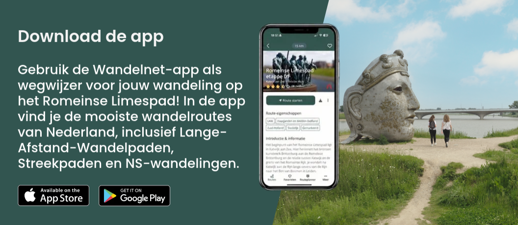 Banner download de app