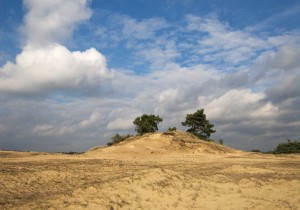 VZPet36h Kootwijkerzand .jpg