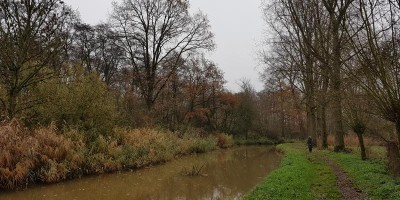 Dommel.jpg