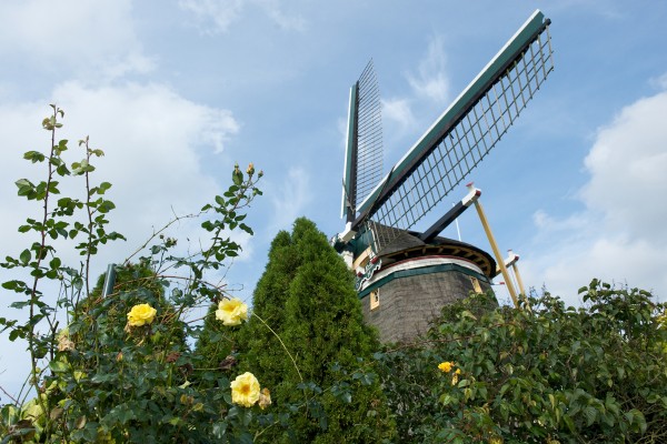Groene_Hartpad_etappe_10.jpg