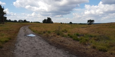 Veluwe_zwerfpad_etappe_10.jpg