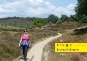 Cover Wandelen op de Veluwezoom.jpg