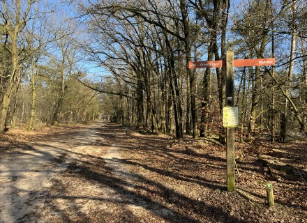 Het Prattenburgse Bos in de winter © Ernst Koningsveld