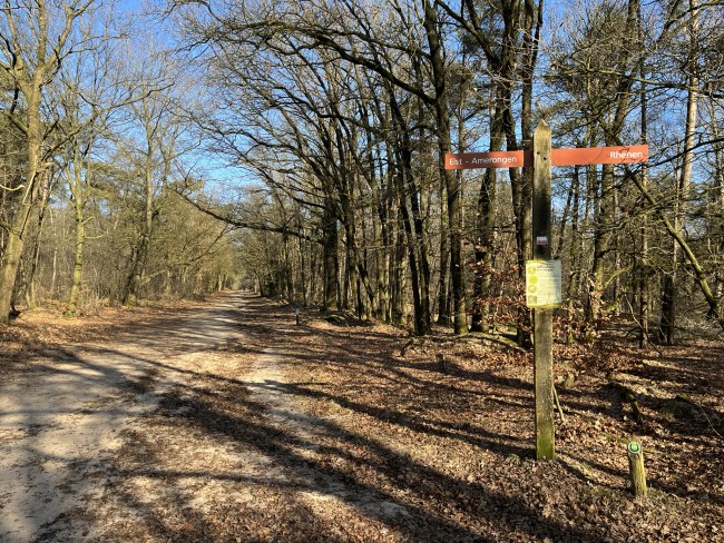 Het Prattenburgse Bos in de winter ©Ernst Koningsveld