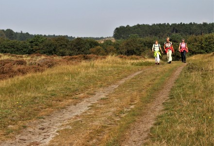Onverhard Duinreservaat 4