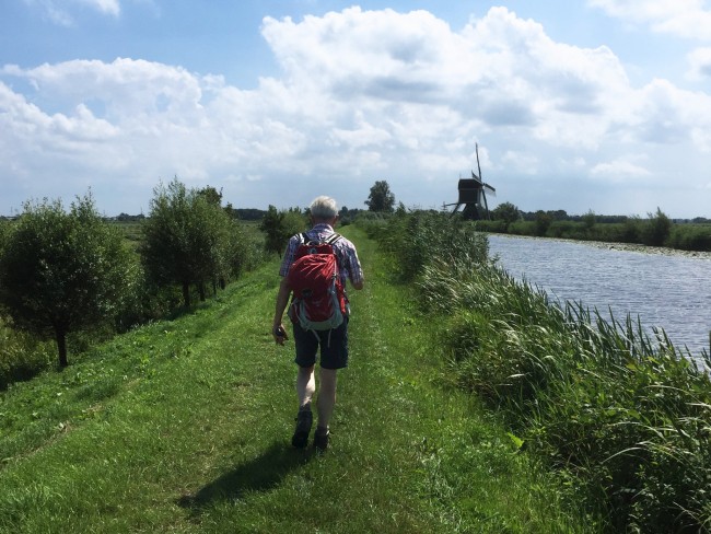 Groene Hart nabij Kockengen © Ernst Koningsveld