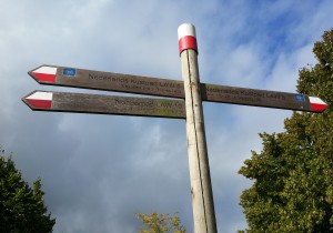 Handwijzer Hoofdfoto Vrijwilligersnieuswbrief.jpg