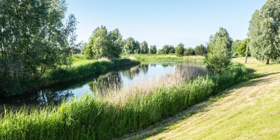 Lelystad, rand van Zuigerplasbos-1-min.jpg