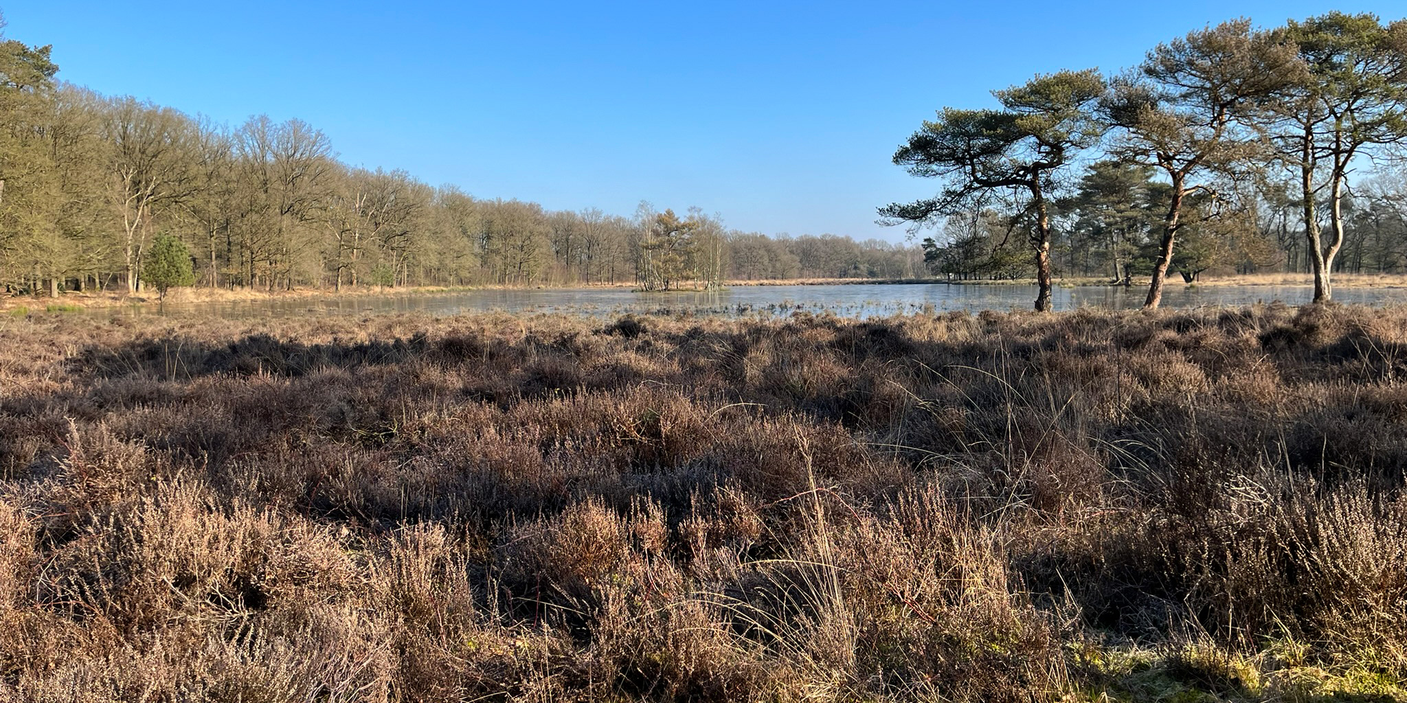 NS-wandeling Elsterberg in alle seizoenen prachtig - Wandelnet