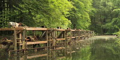 Waterloopbos.JPG