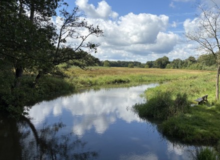 Schipborgse Diep © Lea van Someren
