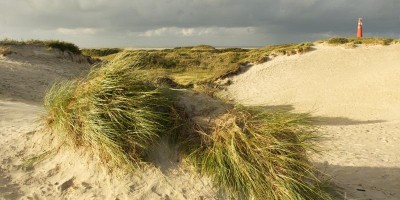 etappe 1 schiermonnikoog.jpg