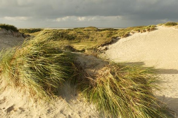etappe 1 schiermonnikoog.jpg