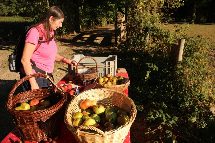 Appels langs de kant)