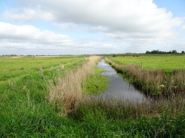 Sloot Drie Polders