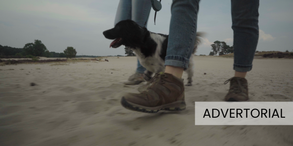 Advertorial - foto rechtenvrij.png