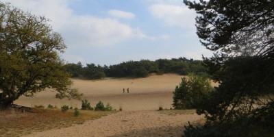 Loonse en druunse duinen.jpg
