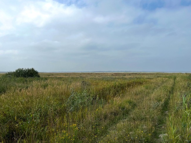 Slikken van Flakkee © Ernst Koningsveld