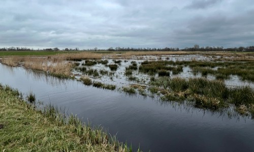 Noardlyke Fryske Wâlden bij Gytsjerk © Ernst Koningsveld.jpg