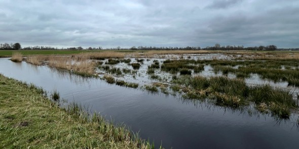 Noardlyke Fryske Wâlden bij Gytsjerk © Ernst Koningsveld.jpg