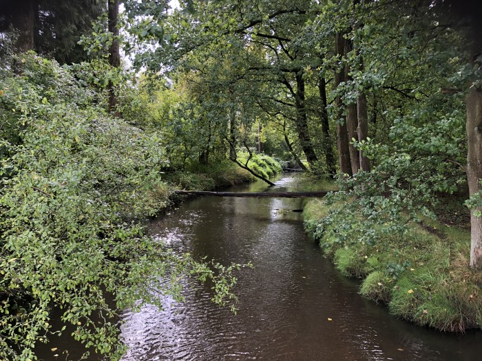 De Tongelreep