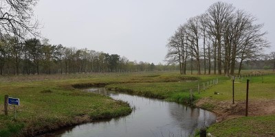 Tongelreep.jpg