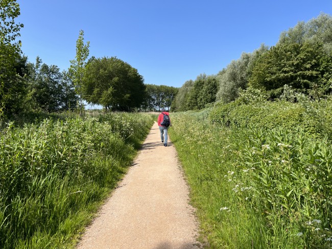 Bieslandse Bos © Ernst Koningsveld