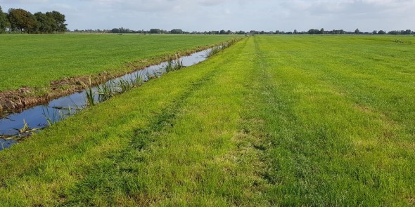 Groene_Hart.jpg