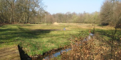 Veluwe_zwerfpad_etappe_16.jpg