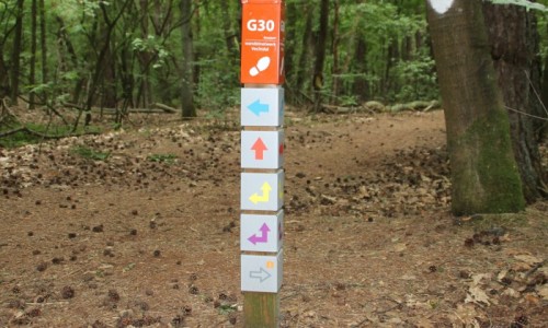 Wandelnetwerken per provincie  Wandel