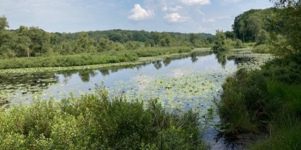 Elfenmeer Nationaal Park De Meinweg