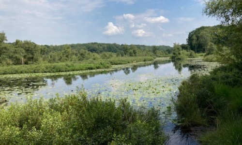 Elfenmeer Nationaal Park De Meinweg